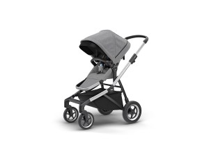 Thule-Sleek---proghulki-s-riebienkom-v-liubuiu-poghodu_1